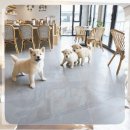 신안농장 | 신안군 강아지분양 닥스훈트를 데려오고 깨달은 혼자 사는 직장인의 반려동물 준비