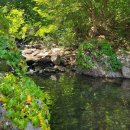 춘천 계곡민박 | 춘천 계곡 카페 운봉산장 취사 가능 평상 대여 수영장까지 있어요