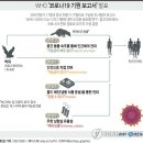 중국에서 "코로나19 기원은 미군 실험실" 음모론 대확산(feat. 기원? 기획!) 이미지