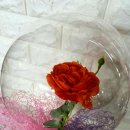 링플라워 이미지