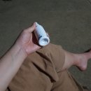 복똥이강아지 이미지