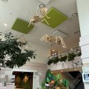 에코 놀이터 | [동탄] 시립반석산 에코스쿨 (탄탄기후놀이터), with 36개월 :)