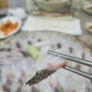 거북이회초밥 이미지