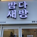 밤새다방양정