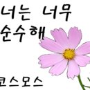 심리 힐링 압화 이미지
