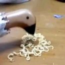 올리브코코펜션 | 페이즈 체크 레인부츠 후기 / 지리산 정령치 별사진 은하수 찍기 차박 /성신여대 오래누드김밥