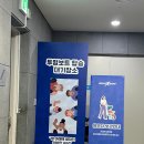 인형뽑기노리터 | 여수 아쿠아 플라넷 후기와 할인꿀팁 및 주차 정보