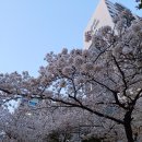 세븐일레븐 외동점 이미지