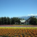 국철농장 이미지