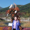 화승아파트 제1경로당 이미지