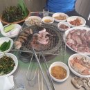 불끈꼼장어