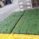 홍성현대주유소 이미지