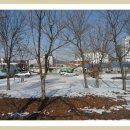 초정식당 이미지