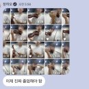 숙헤어갤러리 - 은평구 | 더쇼 제베원 sweat . . 💦 & 인생네컷