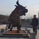 청도소싸움미디어체험관 이미지