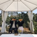 호근목장 이미지