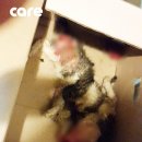 난향동-17 이미지