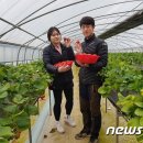 이종철 농장 뉴스1