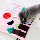 도그마미 이미지