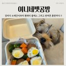 진주 강아지 수제간식 여니네펫공방, 진주펫푸드원데이클래스 후기!
