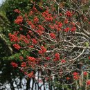 작가의산책길 이미지