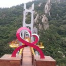 주작산 휴양림 Daum카페