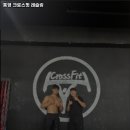 통영 크로스핏 레슬링 이미지