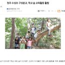 수성초등학교(구성분교) 이미지