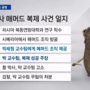 맘모스 이미지