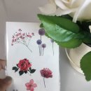 데일리 타투스티커 플라워타투 추천 타투하다 사용후기!^^