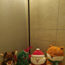 더블유(W) 노래연습장 | 크리스마스 인테리어 소품 추천｜연말에 데려온 귀여운 인형 후기🎄☃️(내돈내산)