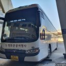뉴로얄관광여행사