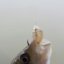 사계지낚시터 이미지