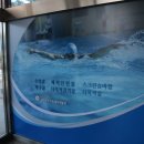 체육재활원수영장 이미지