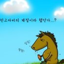 오감플레이 이미지