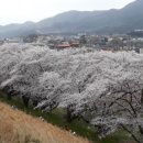 은천경로당 네이버블로그