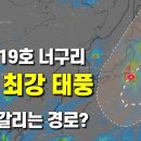올해 최강태풍 19호 너구리의 경로 예측이 갈리고 있습니다 이미지
