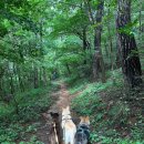 몽이네쉼터 이미지