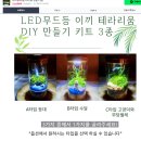 모모리움
