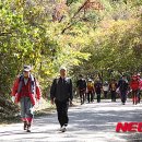 오색스포츠