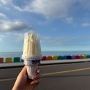 일과리-2 | 제주 무료스냅 후기 2탄 | 성이시돌 목장·녹차밭·이호테우까지 인생샷 스팟 정리