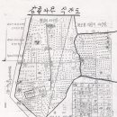 서호동-44 Daum카페