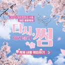 오목로(북측) | 서울 벚꽃명소 윤중로 | 2023 영등포 여의도 봄꽃 축제 정보