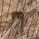 사암2리 이미지