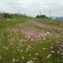 신명골프 이미지