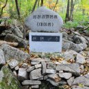 상표천 네이버블로그