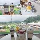 거창목장 | 제주 동쪽 가볼만한곳 목장카페 드르쿰다 승마 카트체험 제주도 9월 여행지 추천