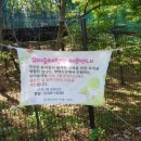 서평택국민체육센터 체육관 이미지