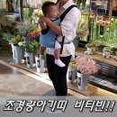 비티컨테이너 | 휴대용아기띠 비티빈 / 초경량아기띠 좋아요