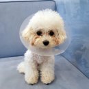 메르시 동물병원 이미지